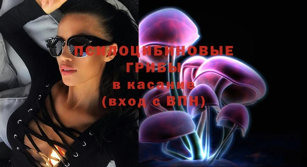 бошки Каменка
