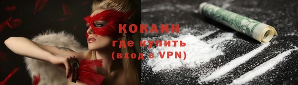 бошки Каменка