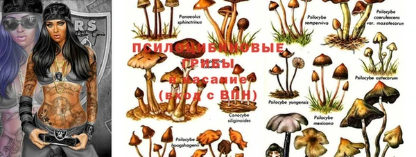 хмурый Каменск-Шахтинский