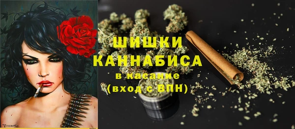 бошки Каменка