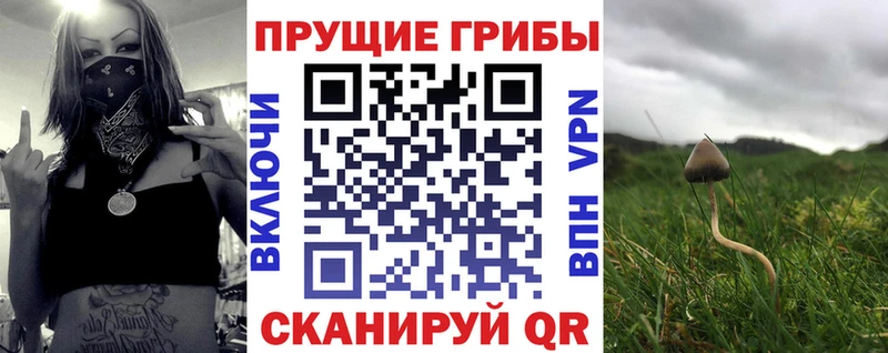 Галлюциногенные грибы прущие грибы Купить Галич